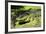 Australia, Broome. Malcolm Douglas Crocodile Park. American Alligator-Cindy Miller Hopkins-Framed Photographic Print