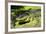 Australia, Broome. Malcolm Douglas Crocodile Park. American Alligator-Cindy Miller Hopkins-Framed Photographic Print