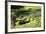 Australia, Broome. Malcolm Douglas Crocodile Park. American Alligator-Cindy Miller Hopkins-Framed Photographic Print
