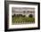 Australia, Clare Valley, Auburn, Vineyard-Walter Bibikow-Framed Photographic Print