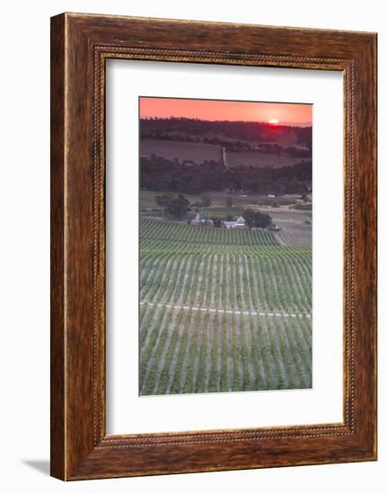 Australia, Clare Valley, Clare, Elevated View of Vineyards-Walter Bibikow-Framed Photographic Print