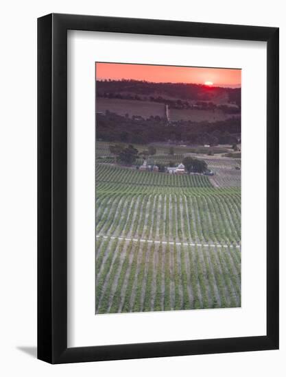 Australia, Clare Valley, Clare, Elevated View of Vineyards-Walter Bibikow-Framed Photographic Print