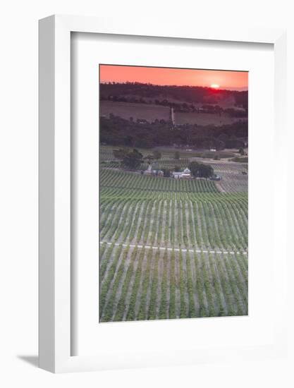 Australia, Clare Valley, Clare, Elevated View of Vineyards-Walter Bibikow-Framed Photographic Print