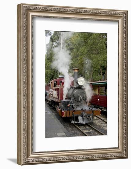 Australia, Dandenong Ranges. Puffing Billy, Vintage Steam Train-Cindy Miller Hopkins-Framed Photographic Print