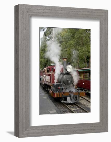 Australia, Dandenong Ranges. Puffing Billy, Vintage Steam Train-Cindy Miller Hopkins-Framed Photographic Print