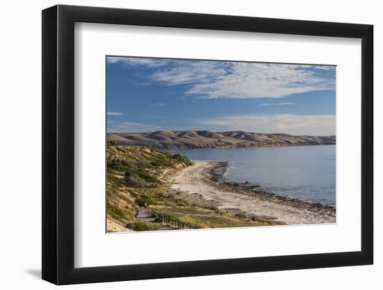 Australia, Fleurieu Peninsula, Aldinga Beach, Elevated View-Walter Bibikow-Framed Photographic Print