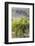 Australia, Fleurieu Peninsula, Mclaren Vale Wine Region, Vineyard View-Walter Bibikow-Framed Photographic Print