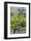 Australia, Fleurieu Peninsula, Mclaren Vale Wine Region, Vineyard View-Walter Bibikow-Framed Photographic Print