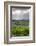 Australia, Fleurieu Peninsula, Mclaren Vale Wine Region, Vineyard View-Walter Bibikow-Framed Photographic Print