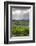 Australia, Fleurieu Peninsula, Mclaren Vale Wine Region, Vineyard View-Walter Bibikow-Framed Photographic Print