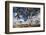 Australia, Fleurieu Peninsula, Normanville, Field with Cows-Walter Bibikow-Framed Photographic Print