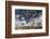 Australia, Fleurieu Peninsula, Normanville, Field with Cows-Walter Bibikow-Framed Photographic Print