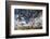 Australia, Fleurieu Peninsula, Normanville, Field with Cows-Walter Bibikow-Framed Photographic Print