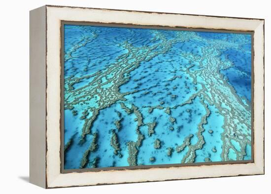 Australia Great Barrier Reef Hardy Reef-null-Framed Premier Image Canvas