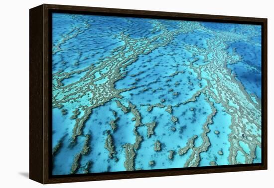 Australia Great Barrier Reef Hardy Reef-null-Framed Premier Image Canvas