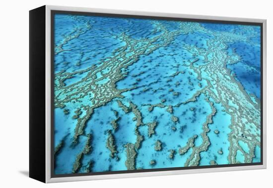 Australia Great Barrier Reef Hardy Reef-null-Framed Premier Image Canvas