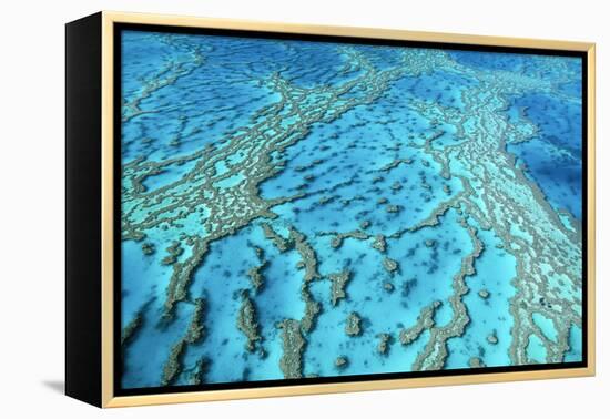 Australia Great Barrier Reef Hardy Reef-null-Framed Premier Image Canvas