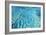 Australia Great Barrier Reef Hardy Reef-null-Framed Photographic Print