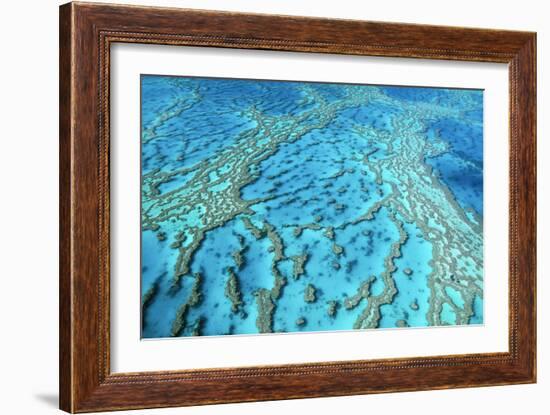 Australia Great Barrier Reef Hardy Reef-null-Framed Photographic Print