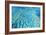 Australia Great Barrier Reef Hardy Reef-null-Framed Photographic Print