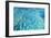 Australia Great Barrier Reef Hardy Reef-null-Framed Photographic Print