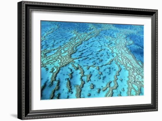 Australia Great Barrier Reef Hardy Reef-null-Framed Photographic Print