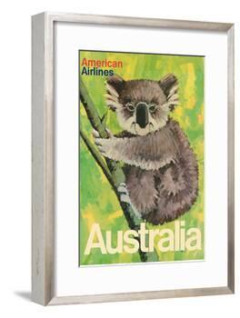 Australia - Koala Bear In Tree - American Airlines-Robert Jones-Framed Art Print