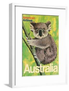Australia - Koala Bear In Tree - American Airlines-Robert Jones-Framed Art Print
