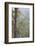 Australia, Kosciuszko National Park, Tom Groggin, Trees-Walter Bibikow-Framed Photographic Print