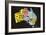 Australia License Plate Map-Design Turnpike-Framed Giclee Print