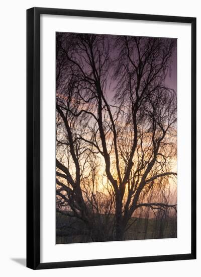 Australia, Murray River Valley, Sedan, Sunrise-Walter Bibikow-Framed Photographic Print