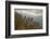 Australia, New South Wales, Blue Mountains, Echo Point, Three Sisters-Rona Schwarz-Framed Photographic Print