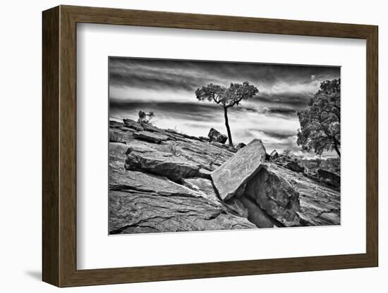 Australia, New South Wales, Outback, Mutawintji National Park-Rona Schwarz-Framed Photographic Print