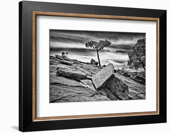 Australia, New South Wales, Outback, Mutawintji National Park-Rona Schwarz-Framed Photographic Print