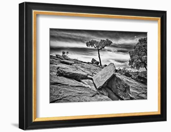 Australia, New South Wales, Outback, Mutawintji National Park-Rona Schwarz-Framed Photographic Print