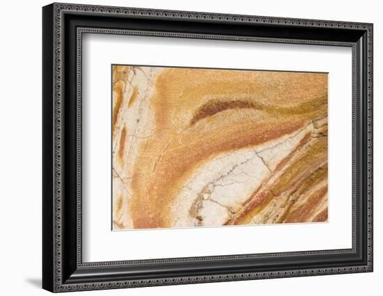 Australia, New South Wales, Sydney. Bondi to Coogee Coastal Walk Patterns in sandstone-Trish Drury-Framed Photographic Print