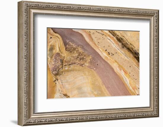 Australia, New South Wales, Sydney. Bondi to Coogee Coastal Walk Patterns in sandstone-Trish Drury-Framed Photographic Print