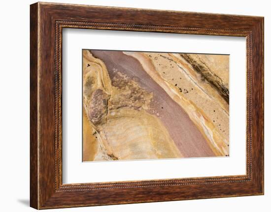 Australia, New South Wales, Sydney. Bondi to Coogee Coastal Walk Patterns in sandstone-Trish Drury-Framed Photographic Print