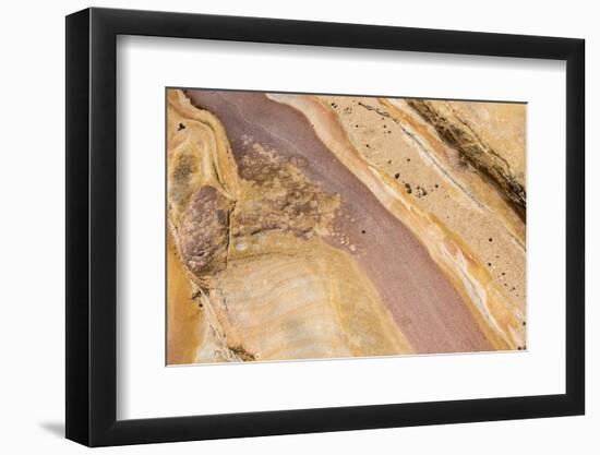 Australia, New South Wales, Sydney. Bondi to Coogee Coastal Walk Patterns in sandstone-Trish Drury-Framed Photographic Print