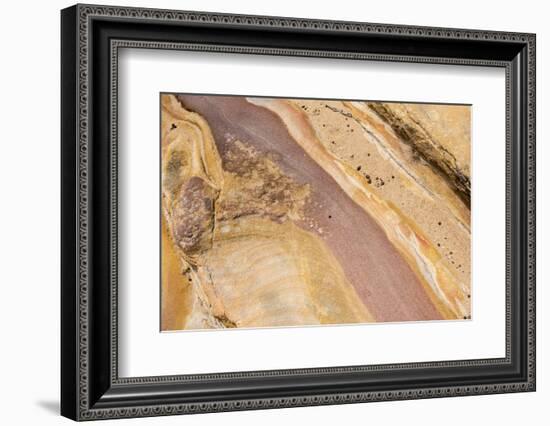 Australia, New South Wales, Sydney. Bondi to Coogee Coastal Walk Patterns in sandstone-Trish Drury-Framed Photographic Print