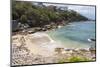 Australia, New South Wales, Sydney. Eastern Beaches, Bondi to Coogee coastal walk. Gordon's Bay-Trish Drury-Mounted Photographic Print