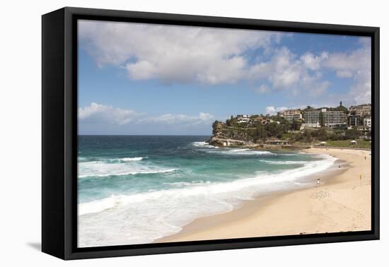 Australia, New South Wales, Sydney. Eastern Beaches, Bondi to Coogee coastal walk.-Trish Drury-Framed Premier Image Canvas