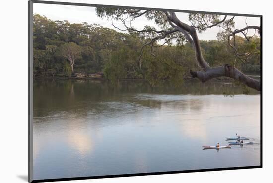 Australia, New South Wales, Sydney. Kayakers on peaceful Georges River-Trish Drury-Mounted Photographic Print