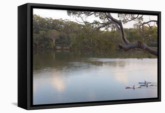 Australia, New South Wales, Sydney. Kayakers on peaceful Georges River-Trish Drury-Framed Premier Image Canvas