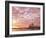 Australia, New South Wales, Sydney, Sydney Opera House, Boat in Harbour at Sunrise-Shaun Egan-Framed Photographic Print