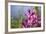 Australia, Northern Territory, Darwin. Jennys Orchid Garden-Cindy Miller Hopkins-Framed Photographic Print