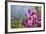 Australia, Northern Territory, Darwin. Jennys Orchid Garden-Cindy Miller Hopkins-Framed Photographic Print