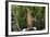 Australia, Northern Territory, Darwin. Territory Wildlife Park. Dingo-Cindy Miller Hopkins-Framed Photographic Print