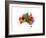 Australia Paint Splashes Map-Michael Tompsett-Framed Art Print