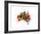 Australia Paint Splashes Map-Michael Tompsett-Framed Art Print